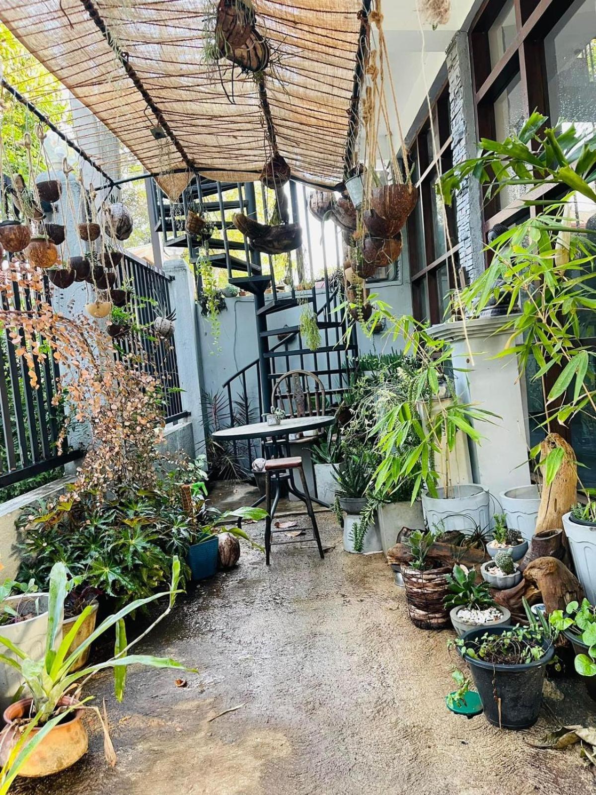 Amanzi Residence キャンディー エクステリア 写真